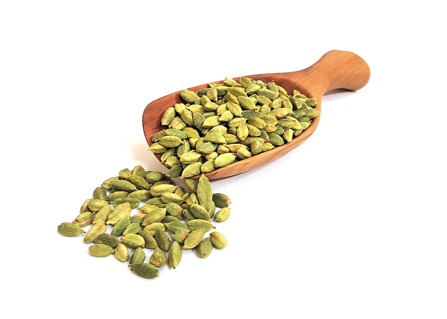 Cardamom 8MM