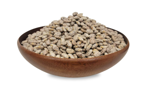 Pinto Beans
