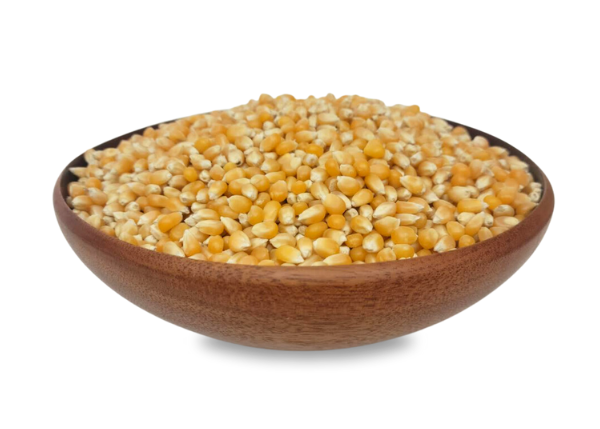 Popcorn, Yellow, Organic