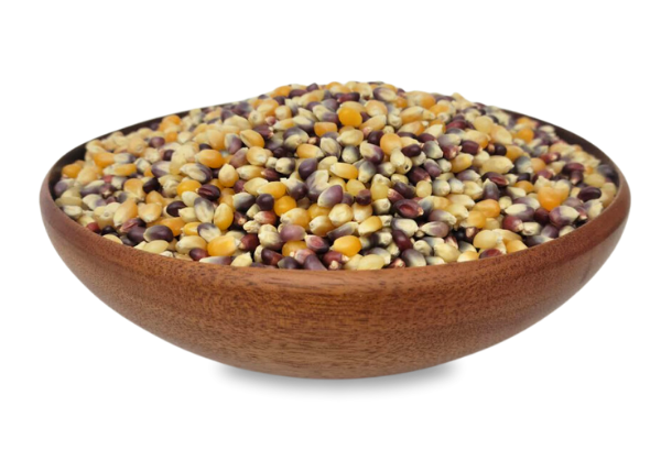 Popcorn, Multi-Color